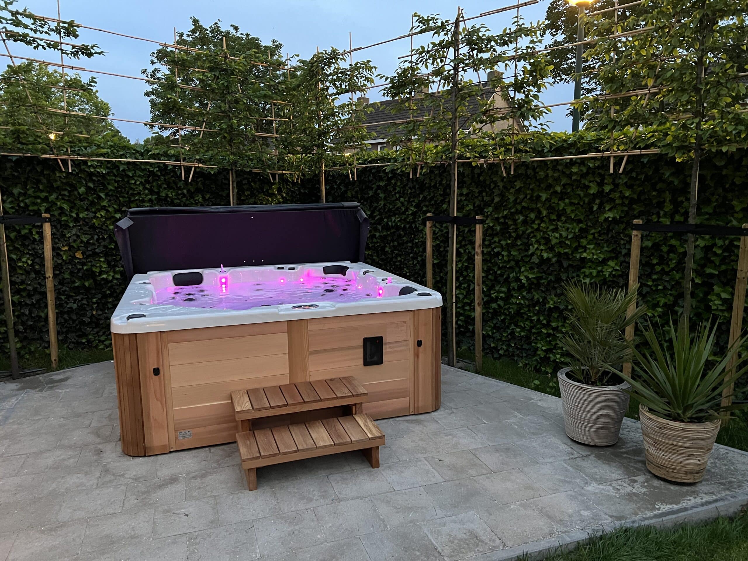 Jacuzzi avec éclairage LED dans le jardin